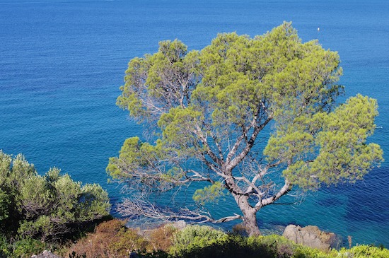 Massif de l'Esterel